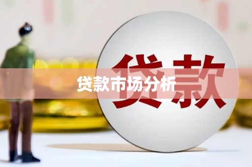 石龙贷款市场分析