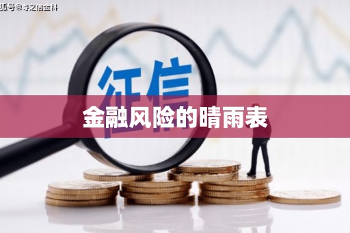 石龙金融风险的晴雨表