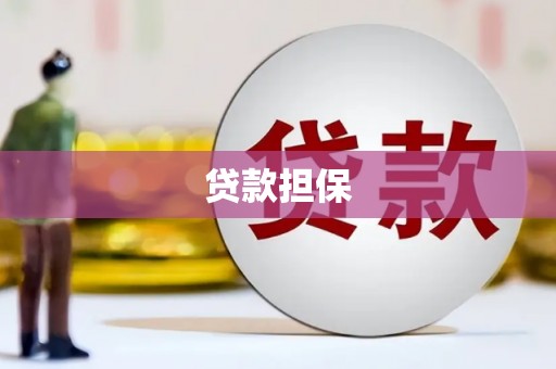 石龙贷款担保