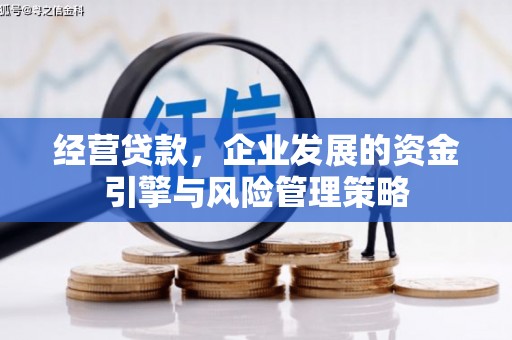 石龙经营贷款，企业发展的资金引擎与风险管理策略
