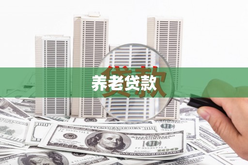 石龙养老贷款