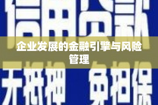 石龙企业发展的金融引擎与风险管理