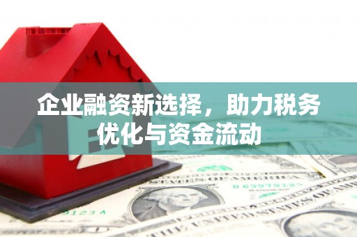 石龙企业融资新选择，助力税务优化与资金流动