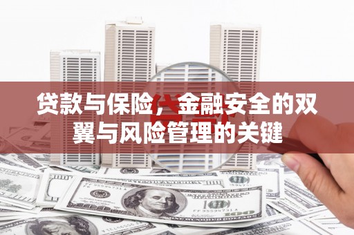 石龙贷款与保险，金融安全的双翼与风险管理的关键