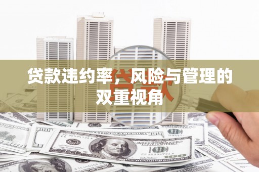 石龙贷款违约率，风险与管理的双重视角