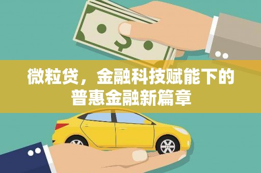 石龙微粒贷，金融科技赋能下的普惠金融新篇章