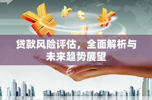 石龙贷款风险评估，全面解析与未来趋势展望