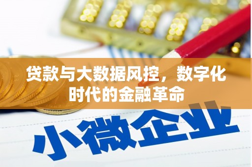 石龙贷款与大数据风控，数字化时代的金融革命