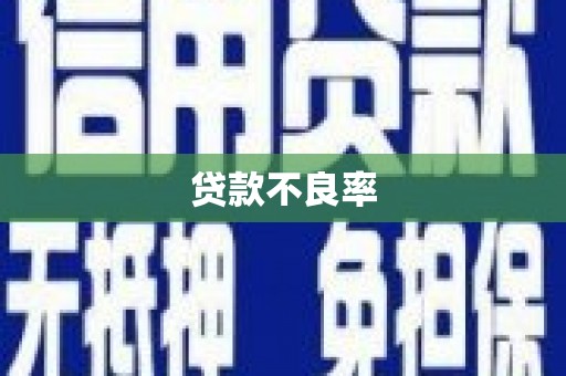 石龙贷款不良率