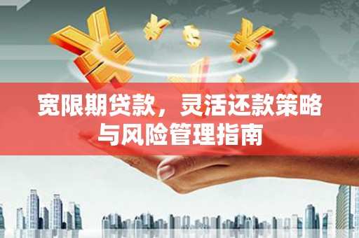石龙宽限期贷款，灵活还款策略与风险管理指南