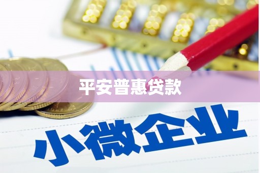 石龙平安普惠贷款