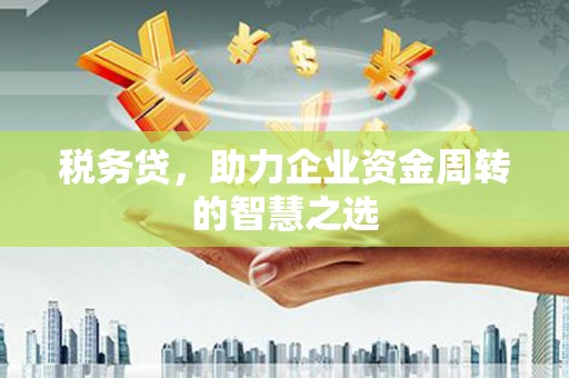 石龙税务贷，助力企业资金周转的智慧之选