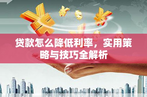 石龙贷款怎么降低利率，实用策略与技巧全解析