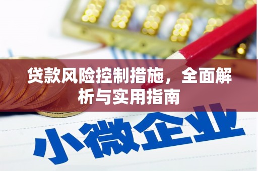 石龙贷款风险控制措施，全面解析与实用指南