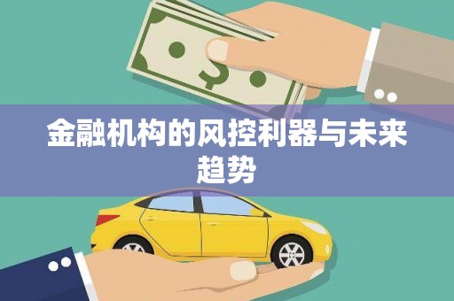 石龙金融机构的风控利器与未来趋势