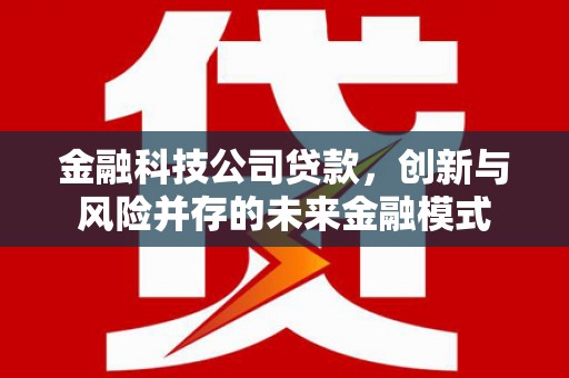 石龙金融科技公司贷款，创新与风险并存的未来金融模式