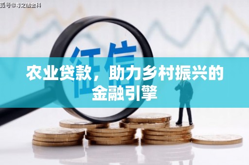 石龙农业贷款，助力乡村振兴的金融引擎