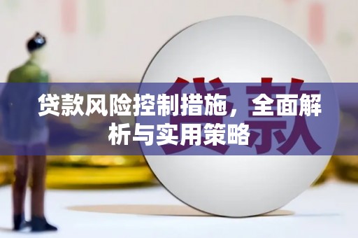 石龙贷款风险控制措施，全面解析与实用策略