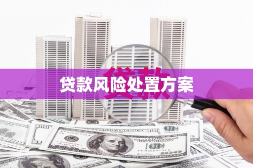 石龙贷款风险处置方案