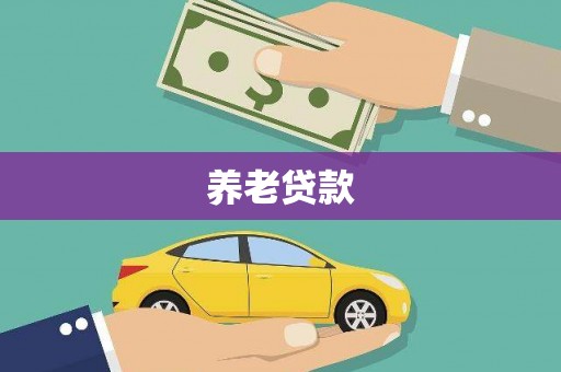 石龙养老贷款