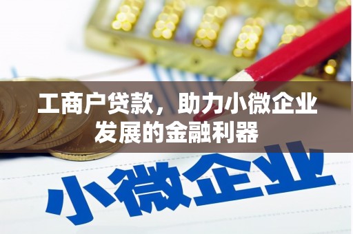 石龙工商户贷款，助力小微企业发展的金融利器
