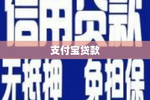 石龙支付宝贷款