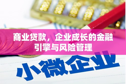 石龙商业贷款，企业成长的金融引擎与风险管理