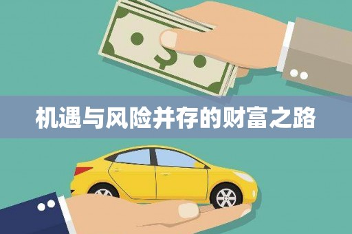 石龙机遇与风险并存的财富之路