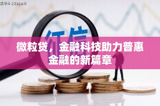 石龙微粒贷，金融科技助力普惠金融的新篇章