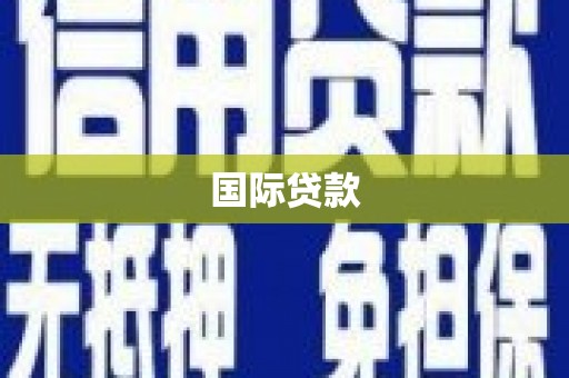 石龙国际贷款
