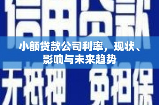 石龙小额贷款公司利率，现状、影响与未来趋势