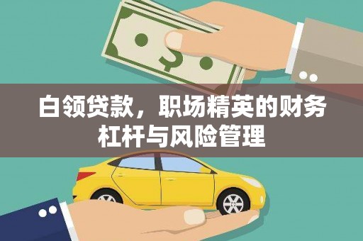 石龙白领贷款，职场精英的财务杠杆与风险管理