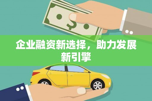 石龙企业融资新选择，助力发展新引擎