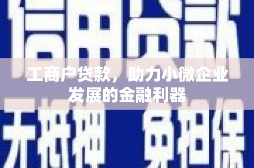 石龙工商户贷款，助力小微企业发展的金融利器