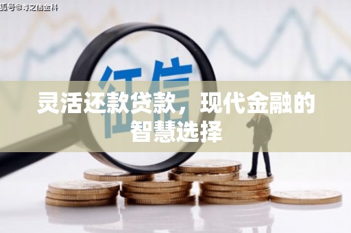 石龙灵活还款贷款，现代金融的智慧选择