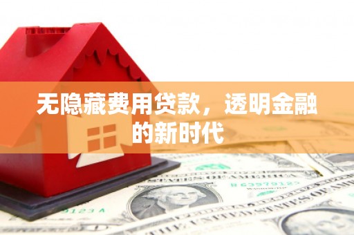 石龙无隐藏费用贷款，透明金融的新时代