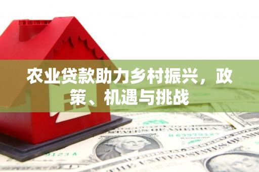 石龙农业贷款助力乡村振兴，政策、机遇与挑战