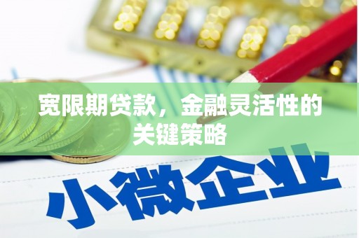 石龙宽限期贷款，金融灵活性的关键策略