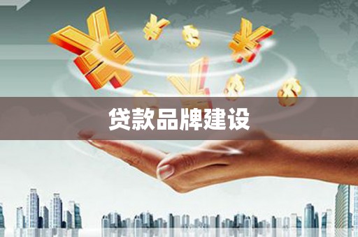 石龙贷款品牌建设