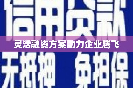 石龙灵活融资方案助力企业腾飞