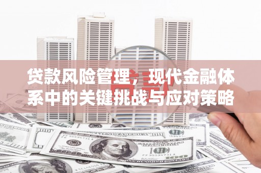 石龙贷款风险管理，现代金融体系中的关键挑战与应对策略
