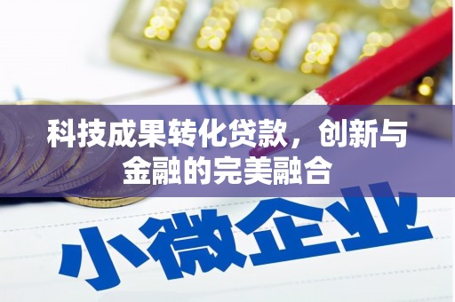 石龙科技成果转化贷款，创新与金融的完美融合