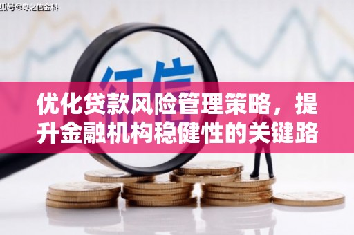 石龙优化贷款风险管理策略，提升金融机构稳健性的关键路径