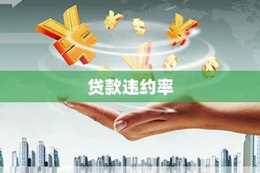 石龙贷款违约率