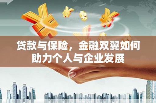 石龙贷款与保险，金融双翼如何助力个人与企业发展