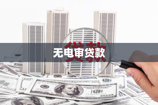 石龙无电审贷款