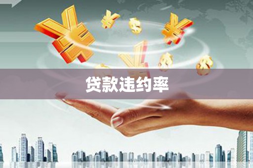 石龙贷款违约率