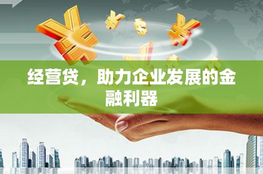 石龙经营贷，助力企业发展的金融利器