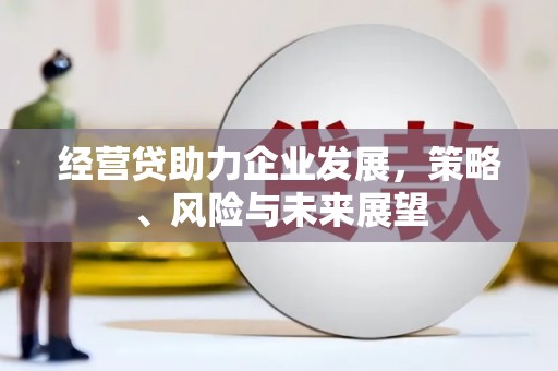 石龙经营贷助力企业发展，策略、风险与未来展望