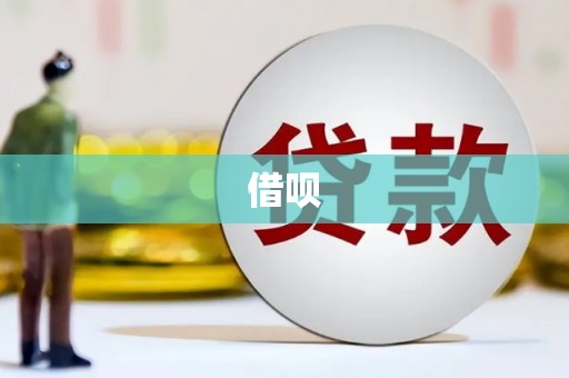 石龙借呗